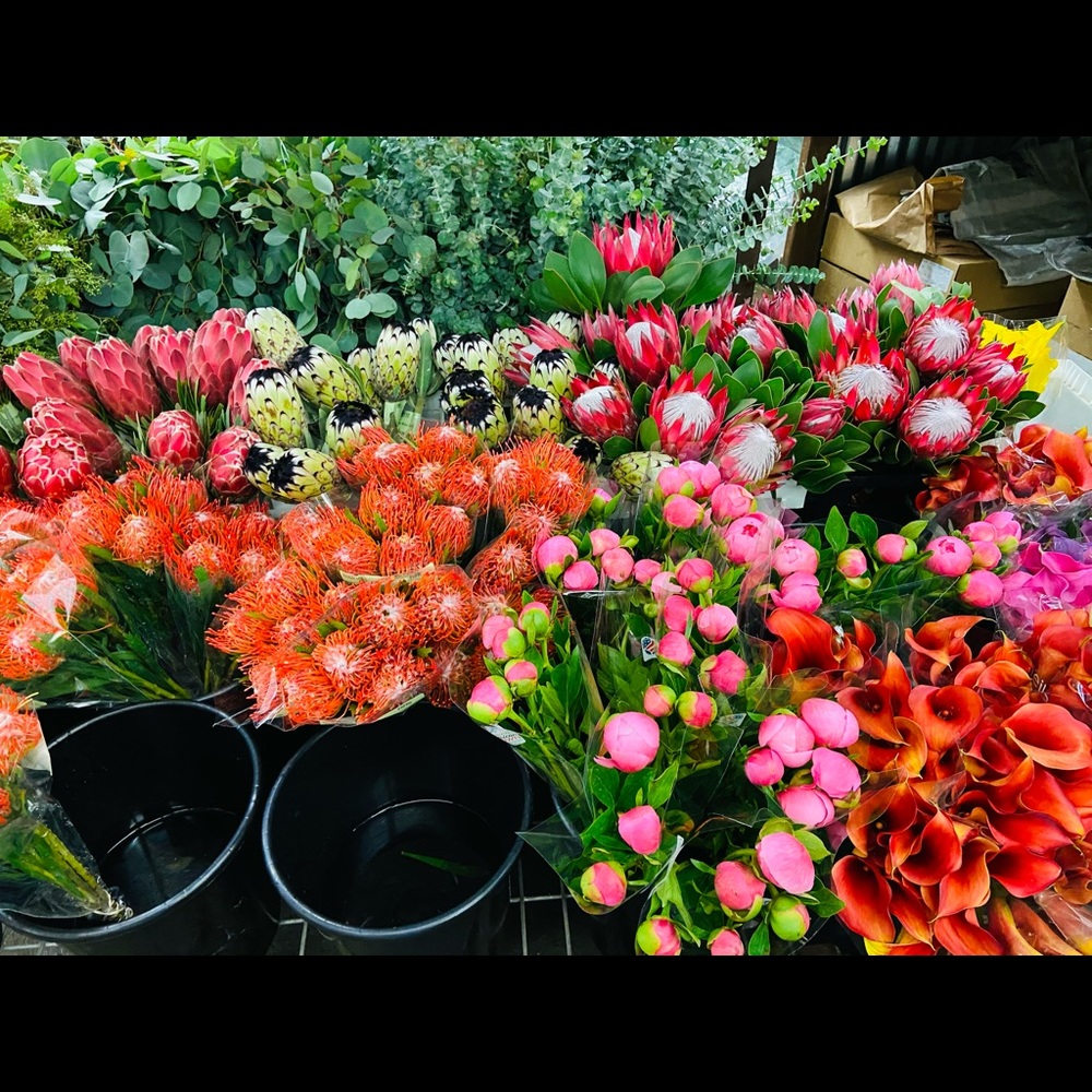 Meet your Posher, Michele